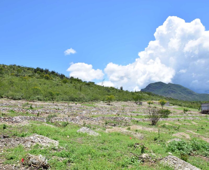 cepam-img-rancho-inicio