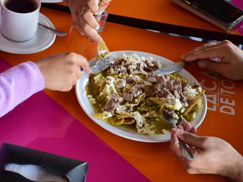 cepam-minigall-la-casa-de-todos-2